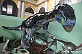 VBS_0917 - Dinosauri. Terra dei giganti